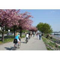 1886_3016 Fahrradtour in der Frühlingssonne am Elbufer. | 